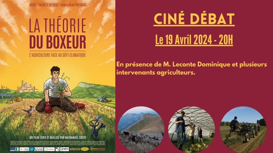 Ciné_Débat_la_théorie_du_boxeur__le_carton_bande_anonce