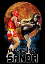 WUSHU FIGHT ACADEMY SANDA, MMA