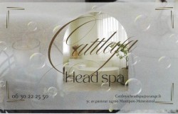 CATTLEYA HEAD SPA